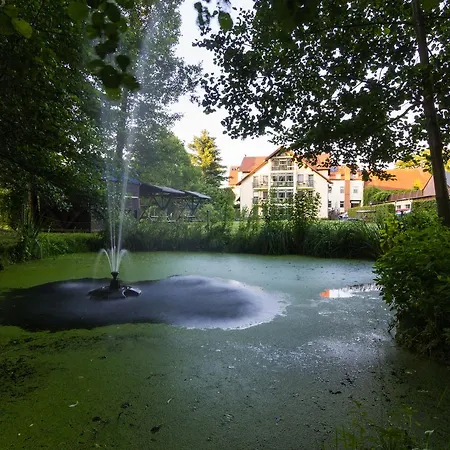 & Restaurant Am Alten Rhin 호텔