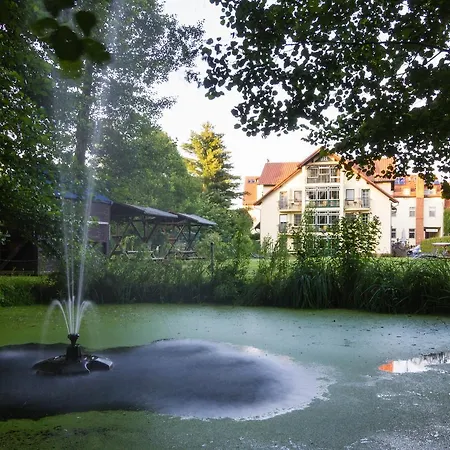 Hotel Hotel & Restaurant Am Alten Rhin