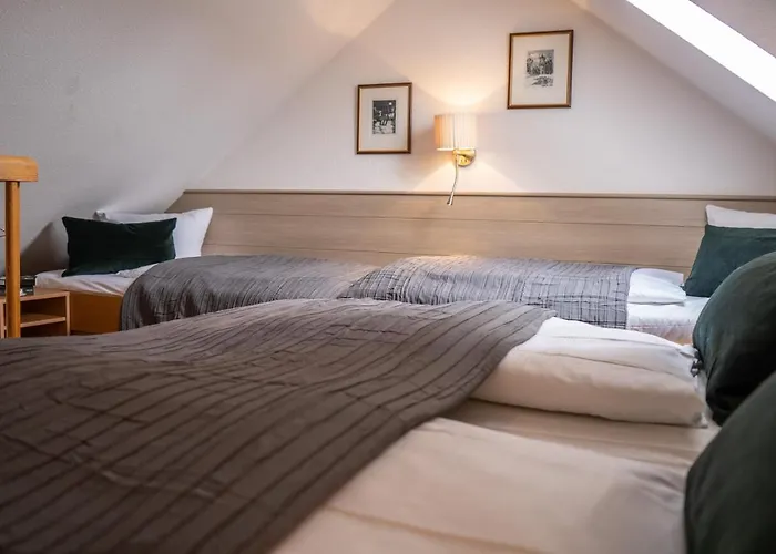 & Restaurant Am Alten Rhin Hotel