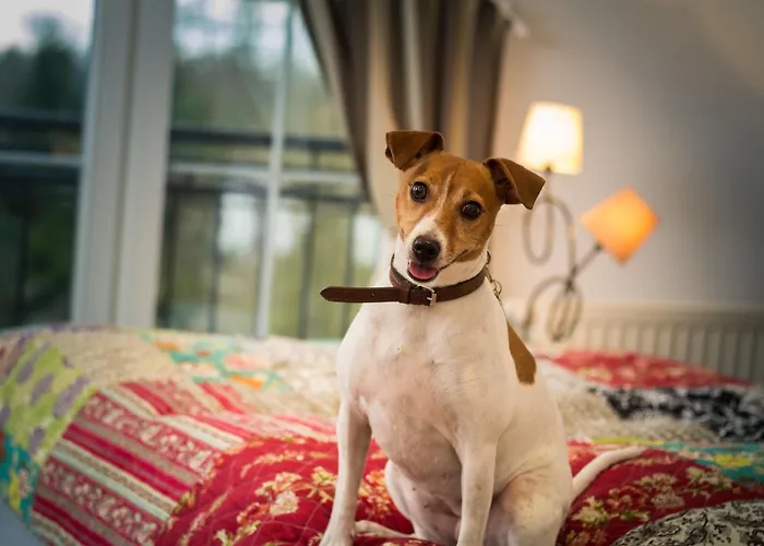 Hotel & Restaurant Am Alten Rhin 3*