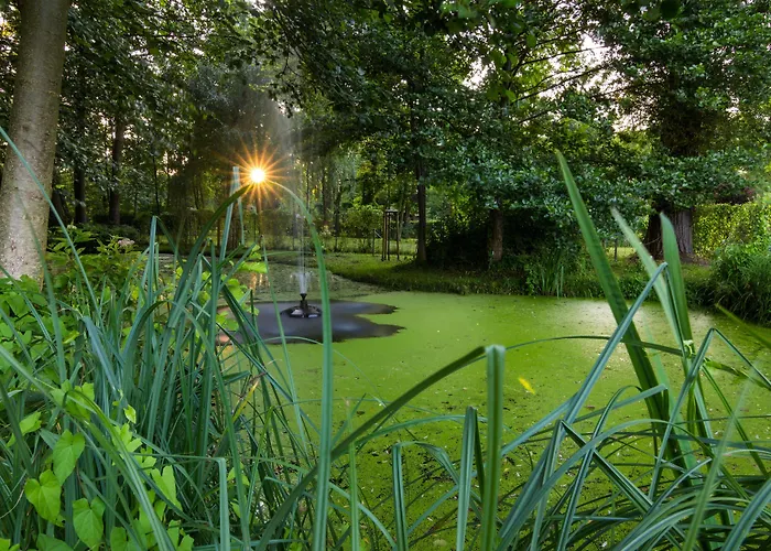 酒店 & Restaurant Am Alten Rhin 3*