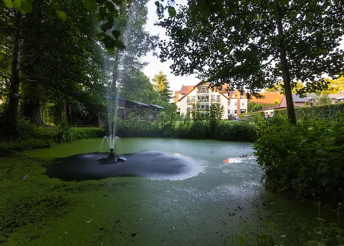 & Restaurant Am Alten Rhin Hotel