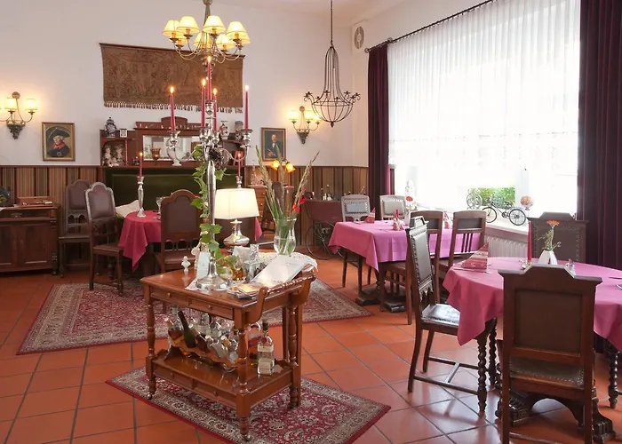 & Restaurant Am Alten Rhin 酒店 3*